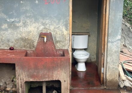 Galería de imágenes en miniatura