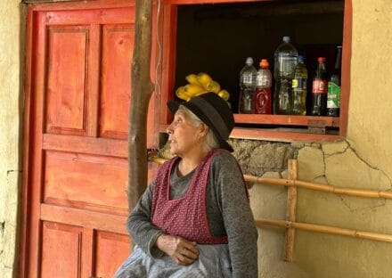 Galería de imágenes en miniatura