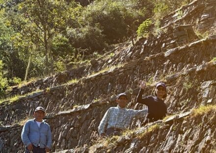 Galería de imágenes en miniatura