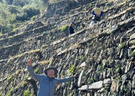 Galería de imágenes en miniatura